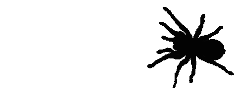 transparent-gif-spider.gif