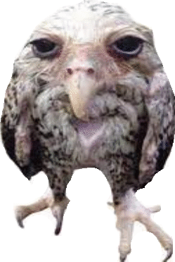 owl-funny.gif
