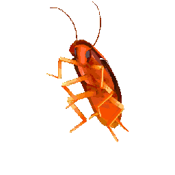 rgb-roach.gif