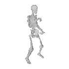 skeleton-esqueleto.gif