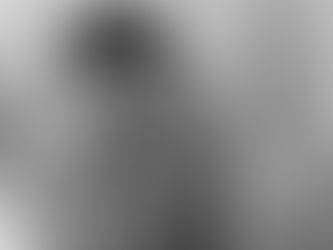 La Disparition de Josef Mengele : entre horreur et grotesque