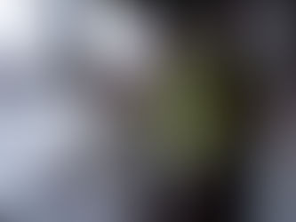 Bill Skarsgård et Dacre Montgomery dans La Corde au Cou.