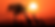 Untitled design (1).png