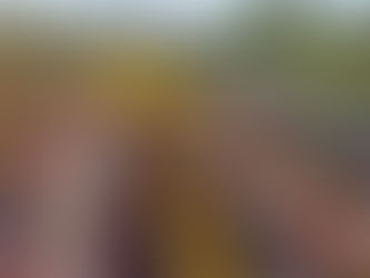 2023.5/14「伊達なバス旅 全国都市緑化仙台フェアと春のみちのく杜の湖畔公園」ツアー催行しました!