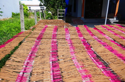 Incense drying in Hoi An old town