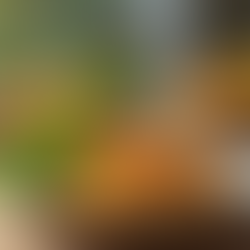 Diet Review: Gluten-Free Diet Essentials & Meal Plan