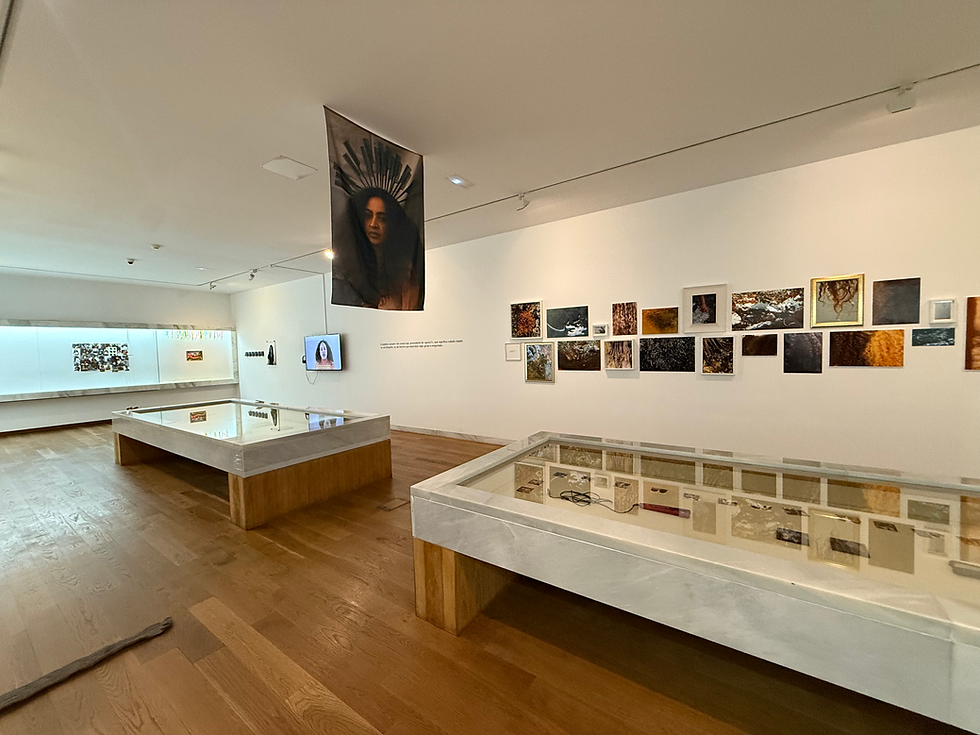 IMG_5032 - cópia.HEIC