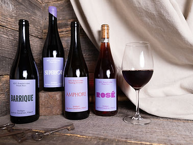 VinAlpin-Weingut-Weine-Chur-2026.jpg