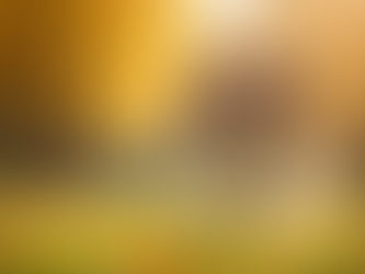 360° Beagle Adventures: Roxie's Comedic YouTube Journey