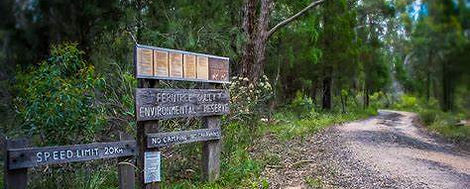 Ferntree Gully