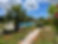 IMG_8197.jpeg