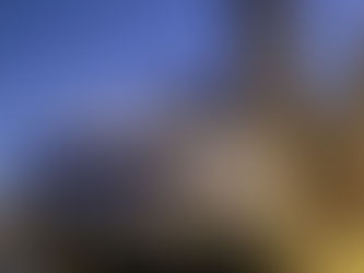 Happy Holidays from CHICAGO!!🎄⛄