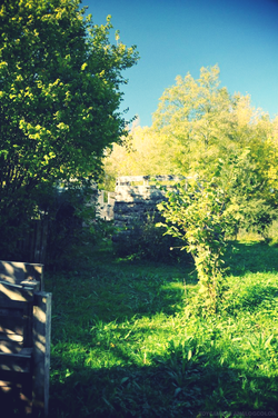 paintball bleu nature attitude