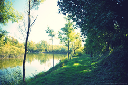 bna bleu nature attitude