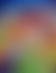 Ranking Muppets from the Muppet movie on how much I want to get a beer with them.