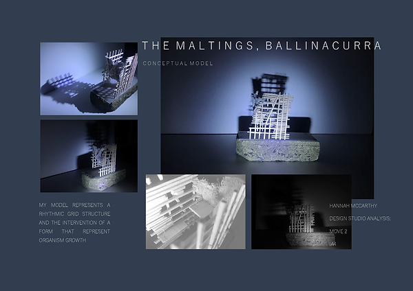Move 2_Ballinacurra Concept Presentation_HannahMcCarthy IA4_Page_2.png