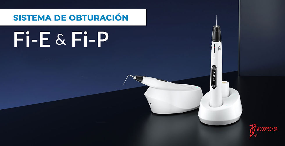 Miniatura: KIT WOODPECKER SISTEMA OBTURACIÓN 3D Fi-E + Fi-P