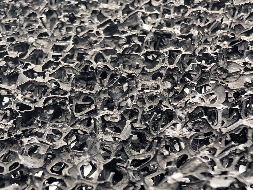 shared image (6).jpeg