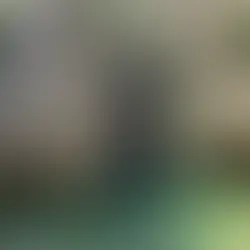 Informació sobre el Campament d'Estiu 2025