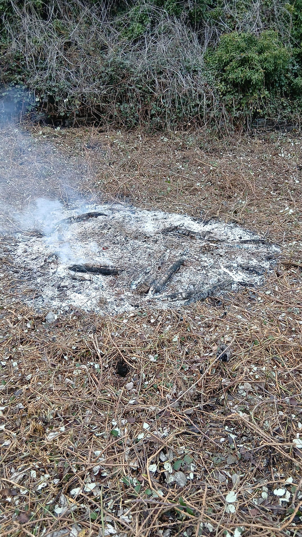 02/2026 Flächenbrand klein - B1.02