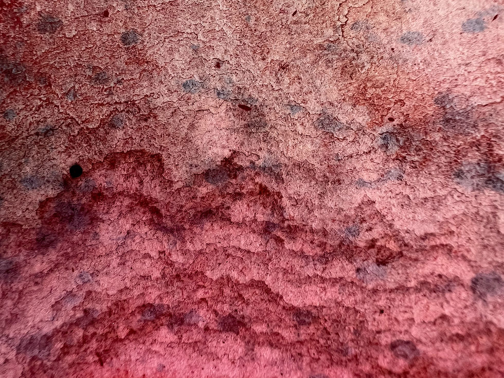 PETAL 12