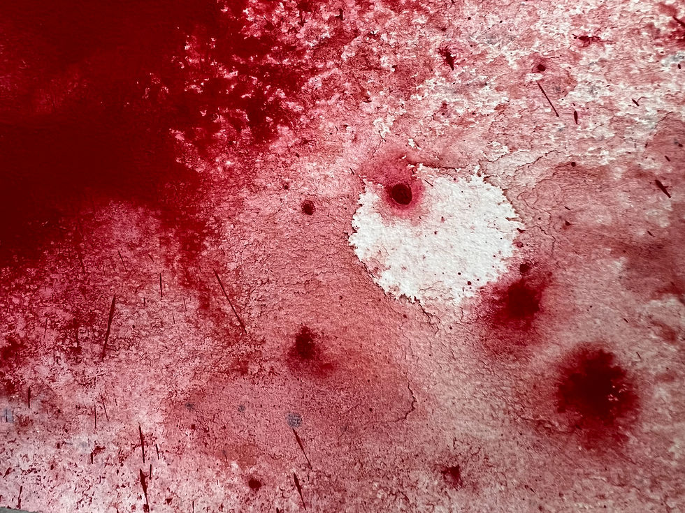 PETAL 2