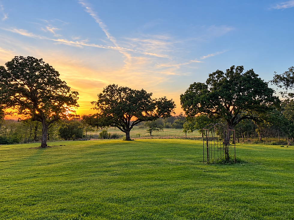 Peaceful Pasture Sunset with Garden Arbor.png