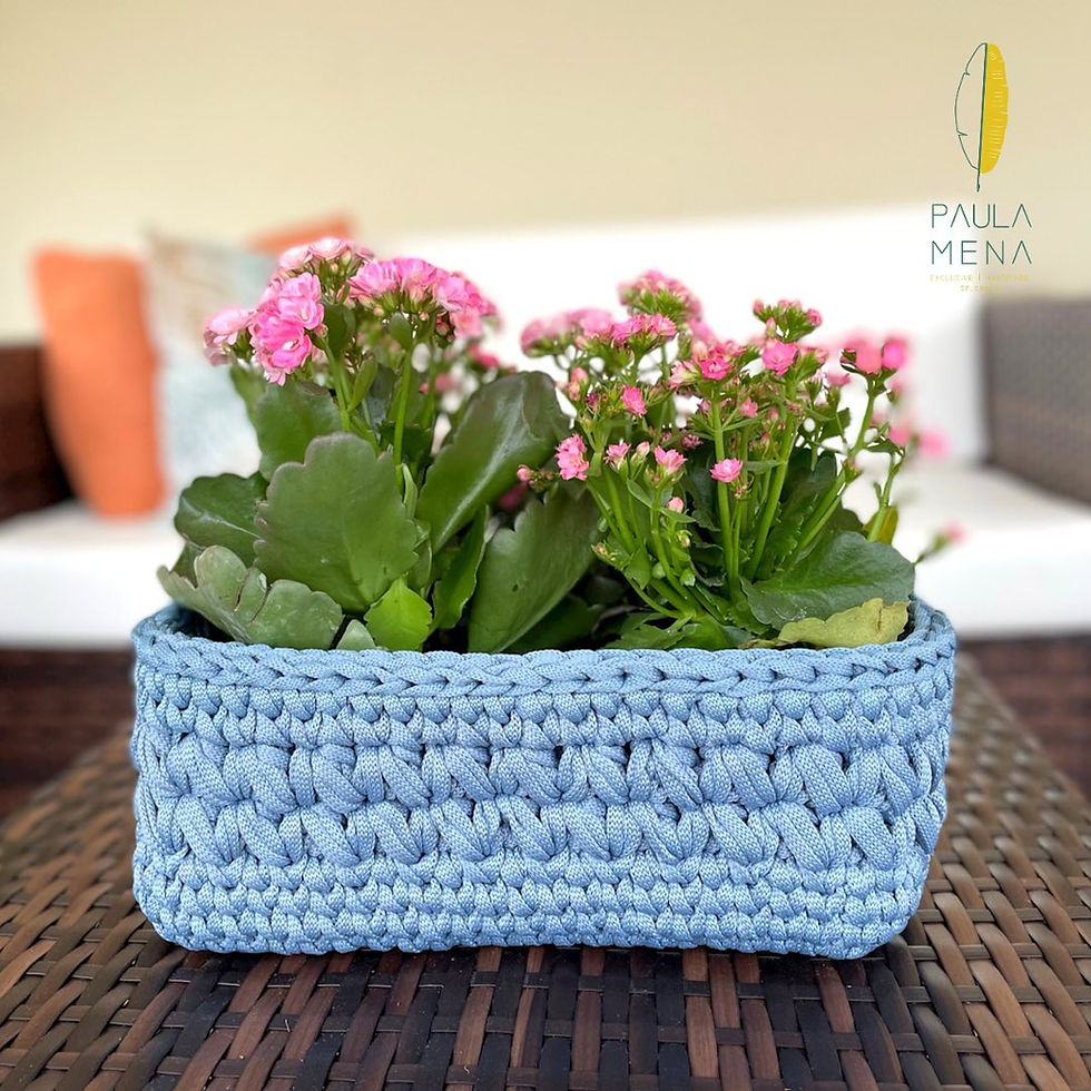 Miniatura: PROJETO BOLSA ANGRA (Vídeo-Aula)+ CESTO REIS