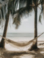 Serene Beach Scene with Hammock.jpeg