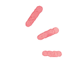 pattern 5.png