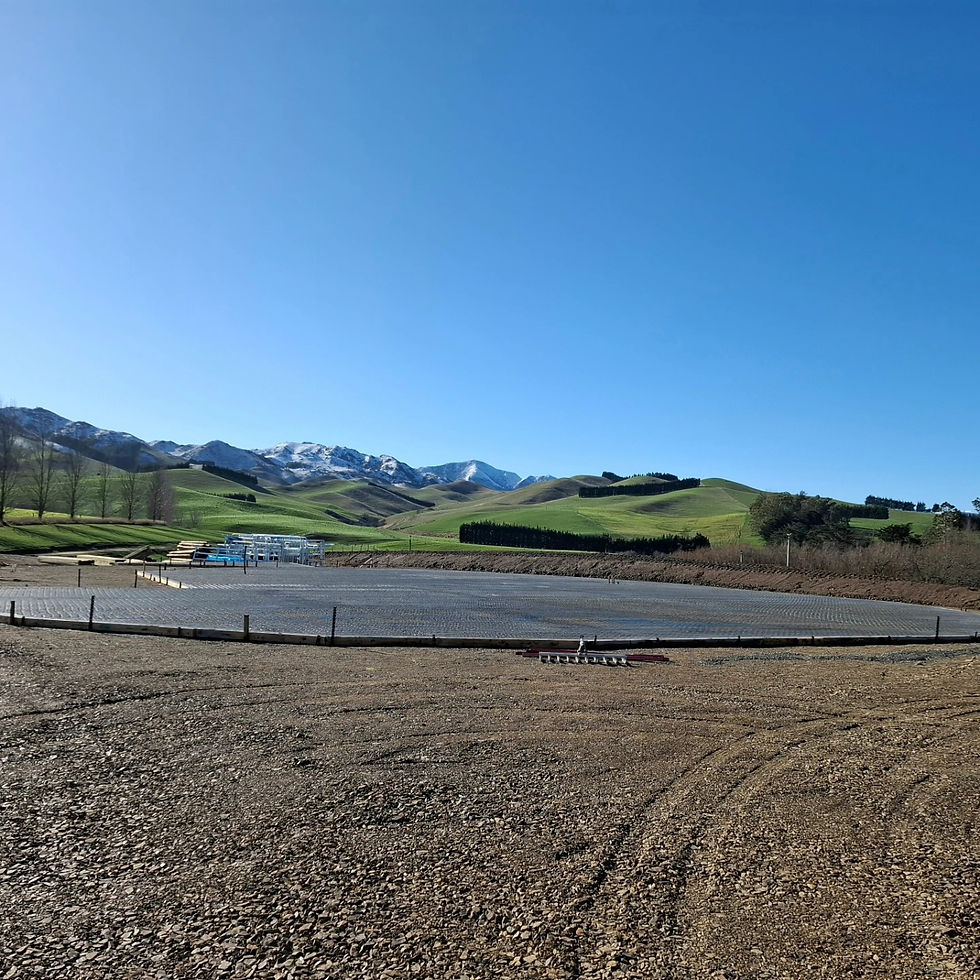 484029100_577512742002679_5757909381080677841_n (1)