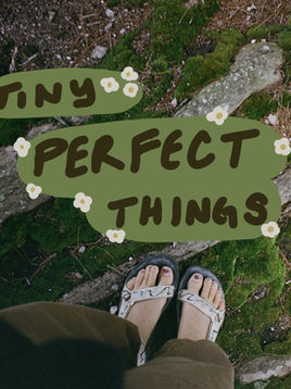 Tiny Perfect Things