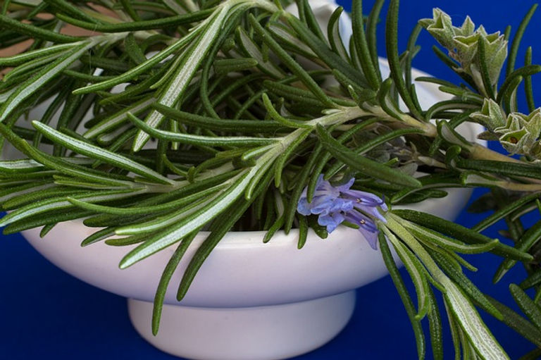 rosemary-1409060_640.jpg