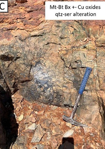 Walparuta Rock Sample C Mt-Bt Bx