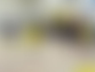 יוצאים לדרך