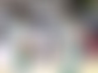 הקאמבק של חיפה נמשך