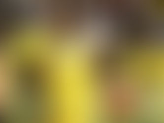 אף אחת לא מושלמת