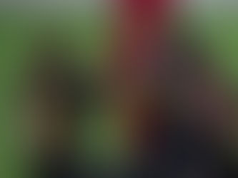 יורוקאפ: רמלה פתחה עם ניצחון