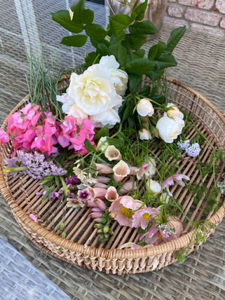 Frisch aus dem Garten