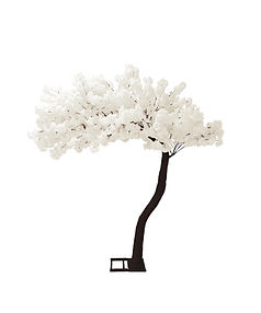 plain tree.jpg