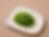 Seaweed Salad