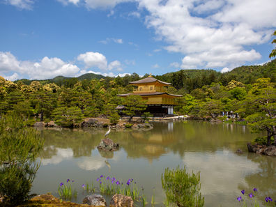 Kyoto with a Toddler
