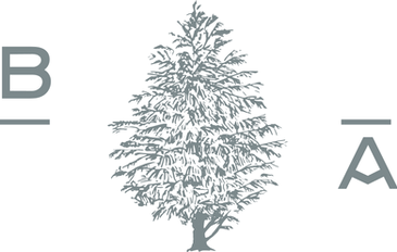BlueAtlas_Submark_edited.png