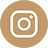 Insta Icon