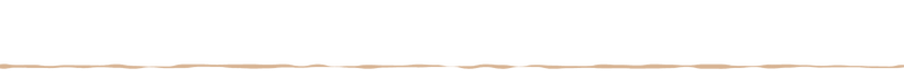 Linie2.png