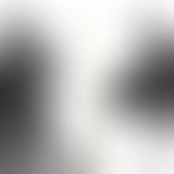 " We did it " ...like Vincent Morla!