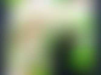 Wraps sans gluten, et parfaits pour la ligne!