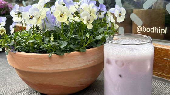 Taro Bliss
