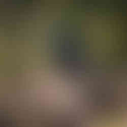 person riding on motocross in the forrest