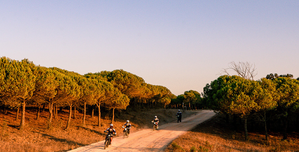 sunset ride on a motocross in the hills four riders on a golden road and trees around